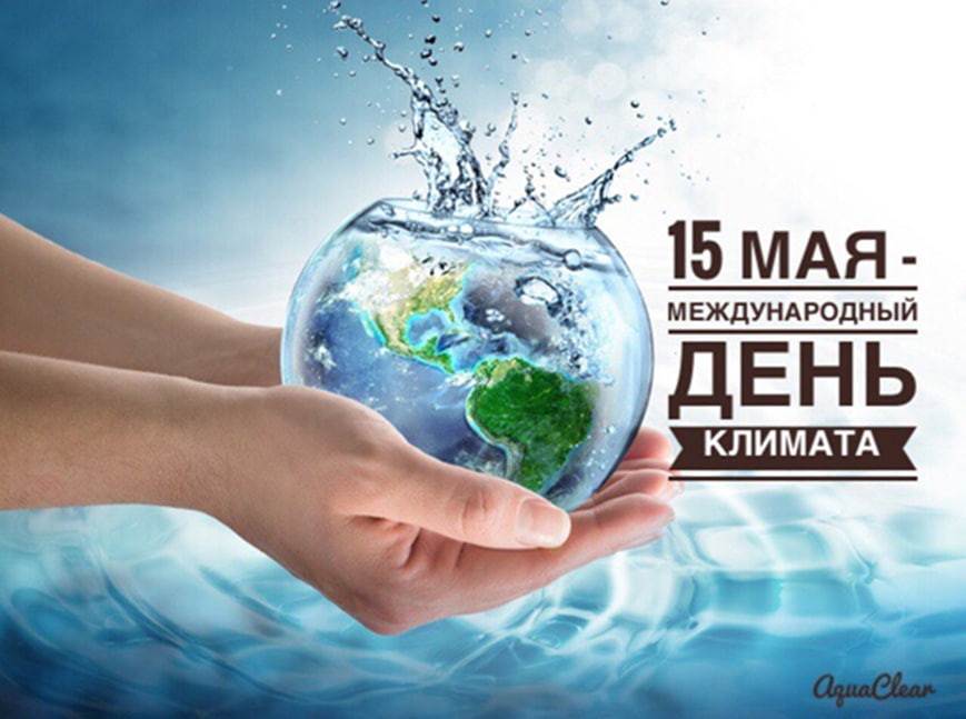 С каждым годом мы все чаще замечаем нетипичные погодные условия в местах, где мы живем. Это изменения влекут неприятные последствия для всех живых существ на земле. Чтобы привлечь внимание к этой проблеме, был учрежден Международный день климата..