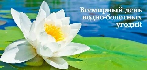 День водно-болотных угодий.