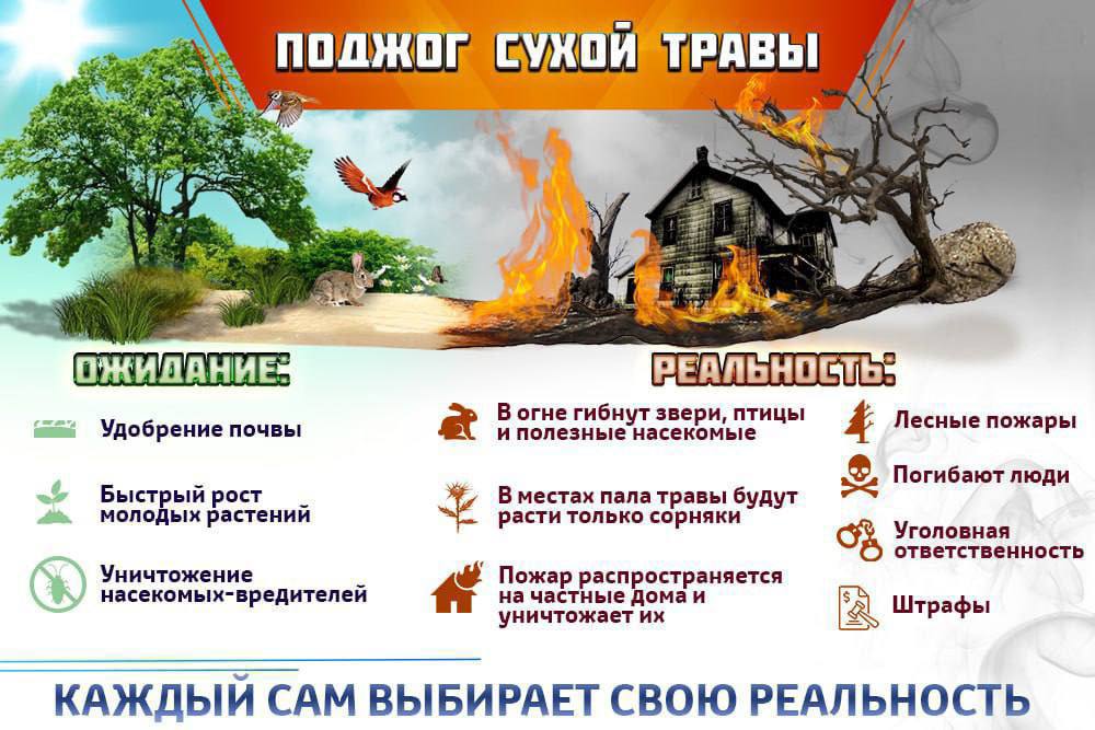 Весна – время, когда люди выжигают прошлогоднюю траву. Но можно ли контролировать распространение огня? И что стоит за поджогом?.