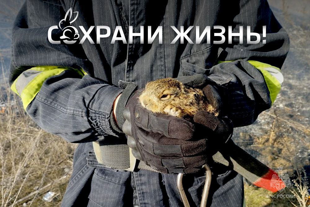 Вместо уборки сорняков с участка и сухостоя с полей, ты бросаешь спичку?.