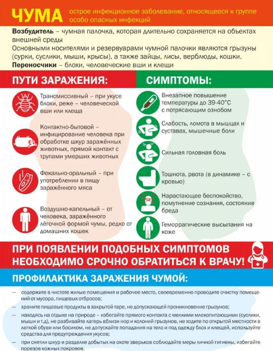 Как предупредить заболевание чумой ?.