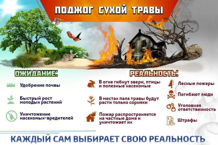 А что выберешь ты?. А что выберешь ты?.