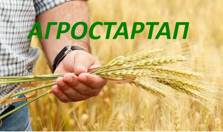 Грант «Агростартап» в 2025 году. Грант «Агростартап» в 2025 году.