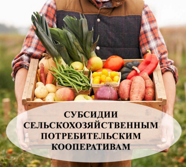Грант на реализацию проектов развития материально-технической базы сельскохозяйственных потребительских кооперативов (СПоК). Грант на реализацию проектов развития материально-технической базы сельскохозяйственных потребительских кооперативов (СПоК).