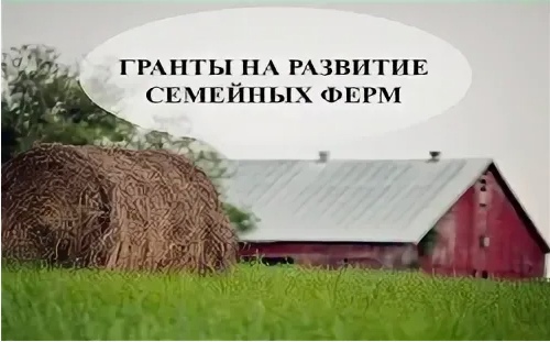 Субсидия на развитие семейных ферм. Субсидия на развитие семейных ферм.